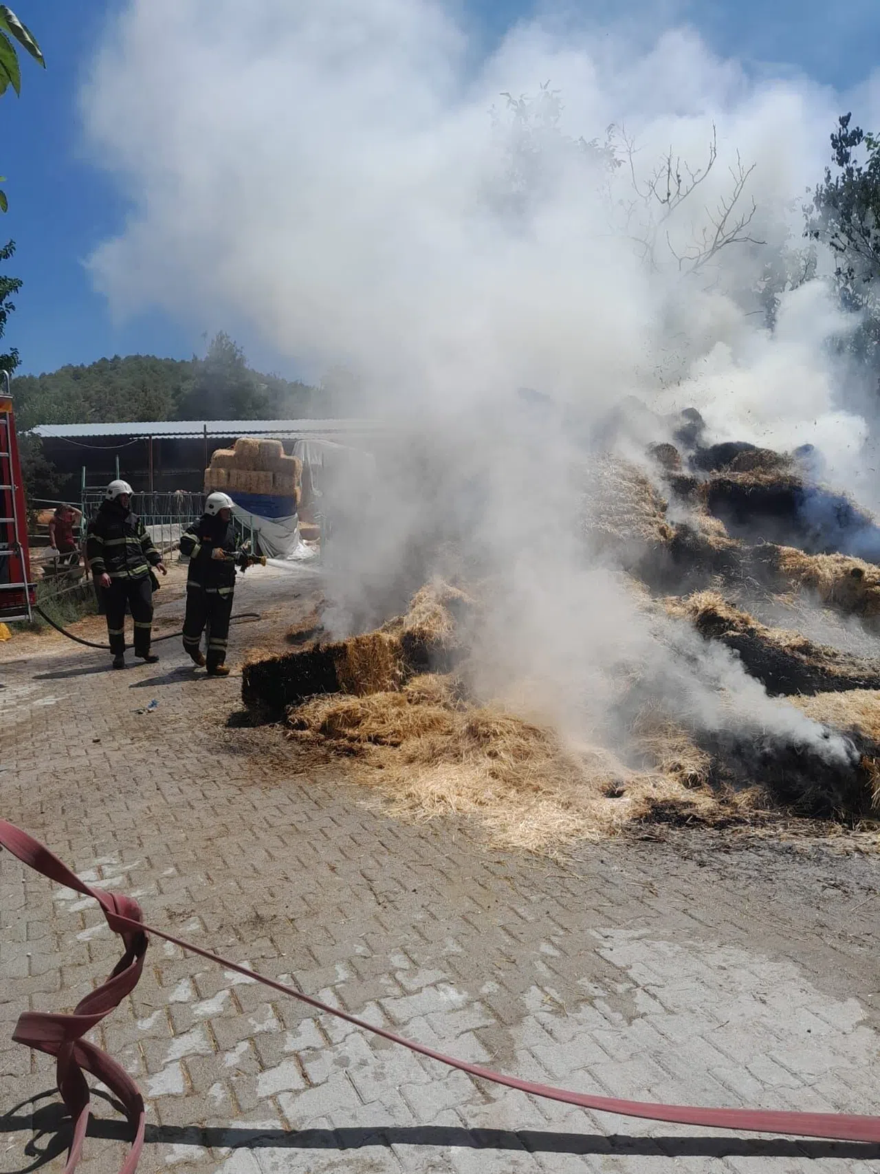 Çıkan Yangında 250 Saman Balyası Kül Oldu