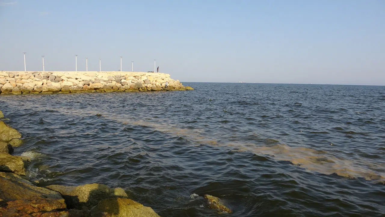 Doğu Akdeniz'de Kirlilik Gözle Görülür Hale Geldi
