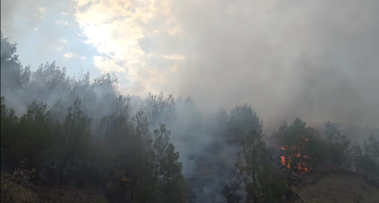 Kahramanmaraş Yangının 3. Gününde Müdahale Sürüyor