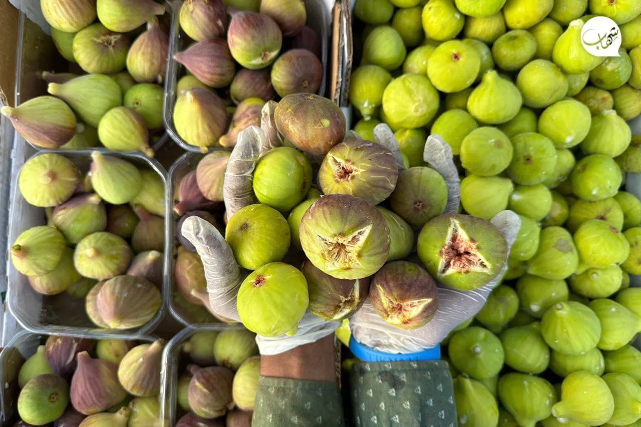 Kahramanmaraş’ta Abbas İnciri Tezgâhlarda, Fiyatı Ne Kadar?