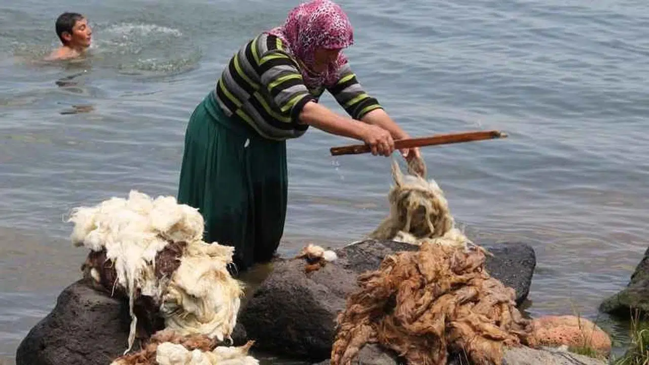 Kahramanmaraş’ta Yün Yıkama Geleneği Tarihe Karışıyor