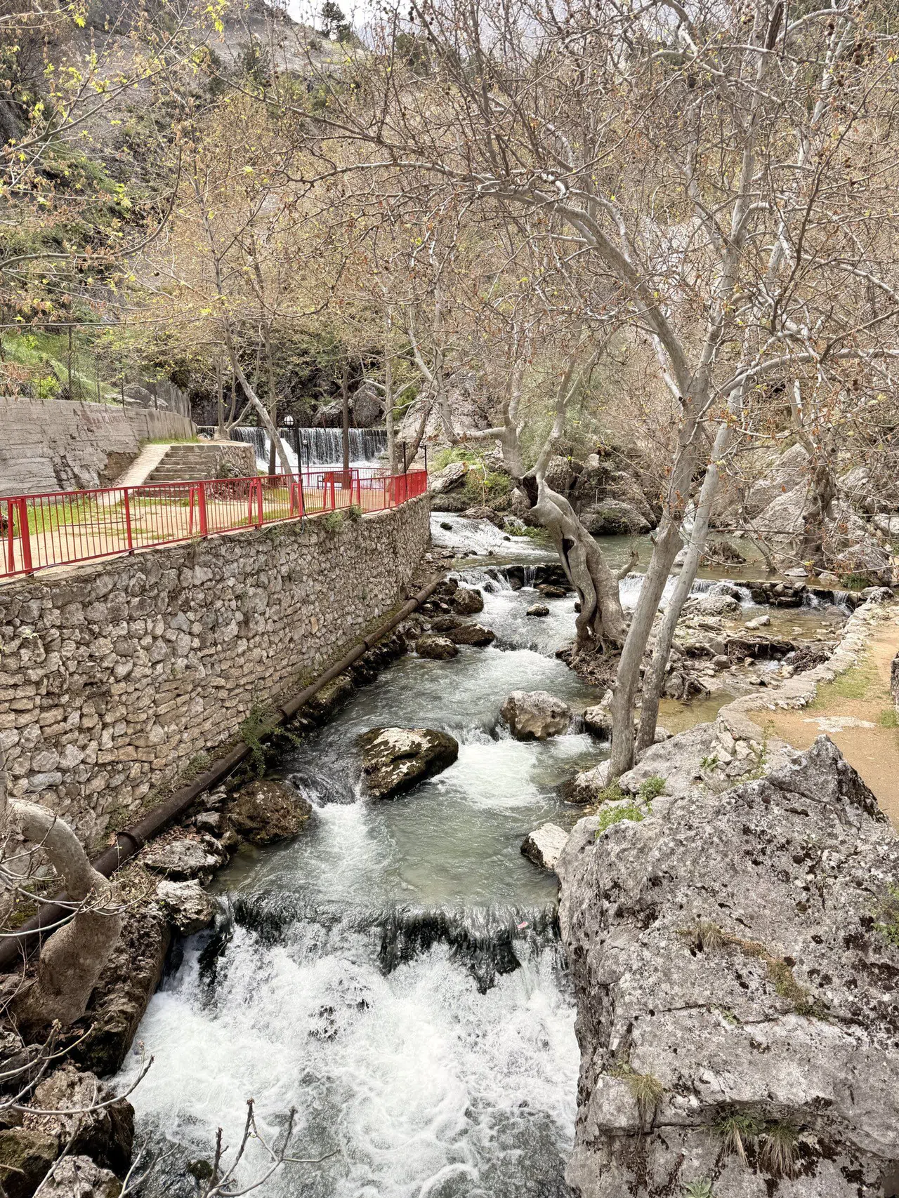 Denizi Olmayan Kahramanmaraş’ın Balığı 54 Ülkeyi Aşıyor!