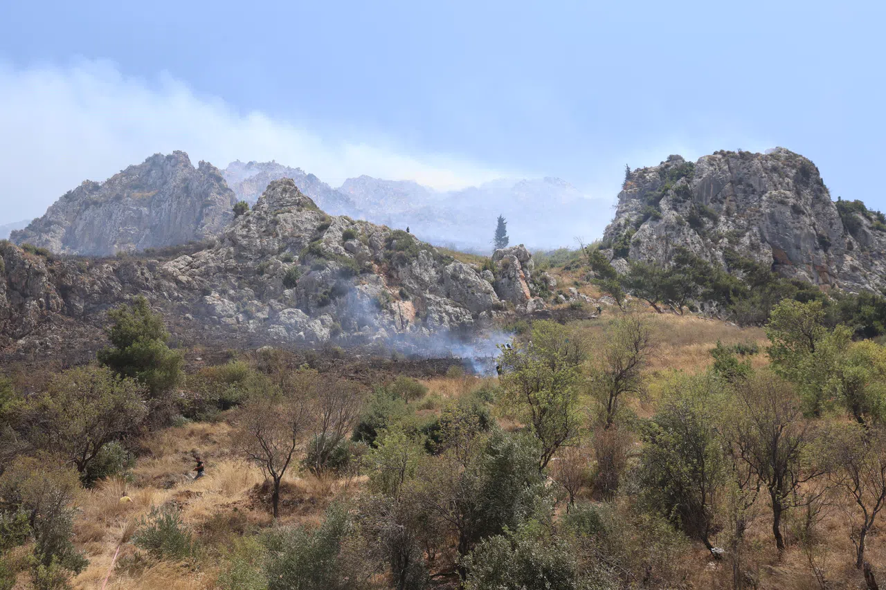 Orman Yangını Hızlı Müdahaleyle Kontrol Altına Alındı