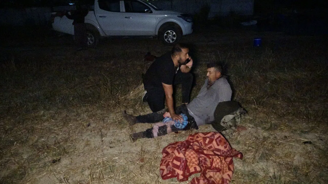 Hayvan Parkından Kaçan Aslan Fıstık Bahçesinde Uyuyan Çiftçiye Saldırdı