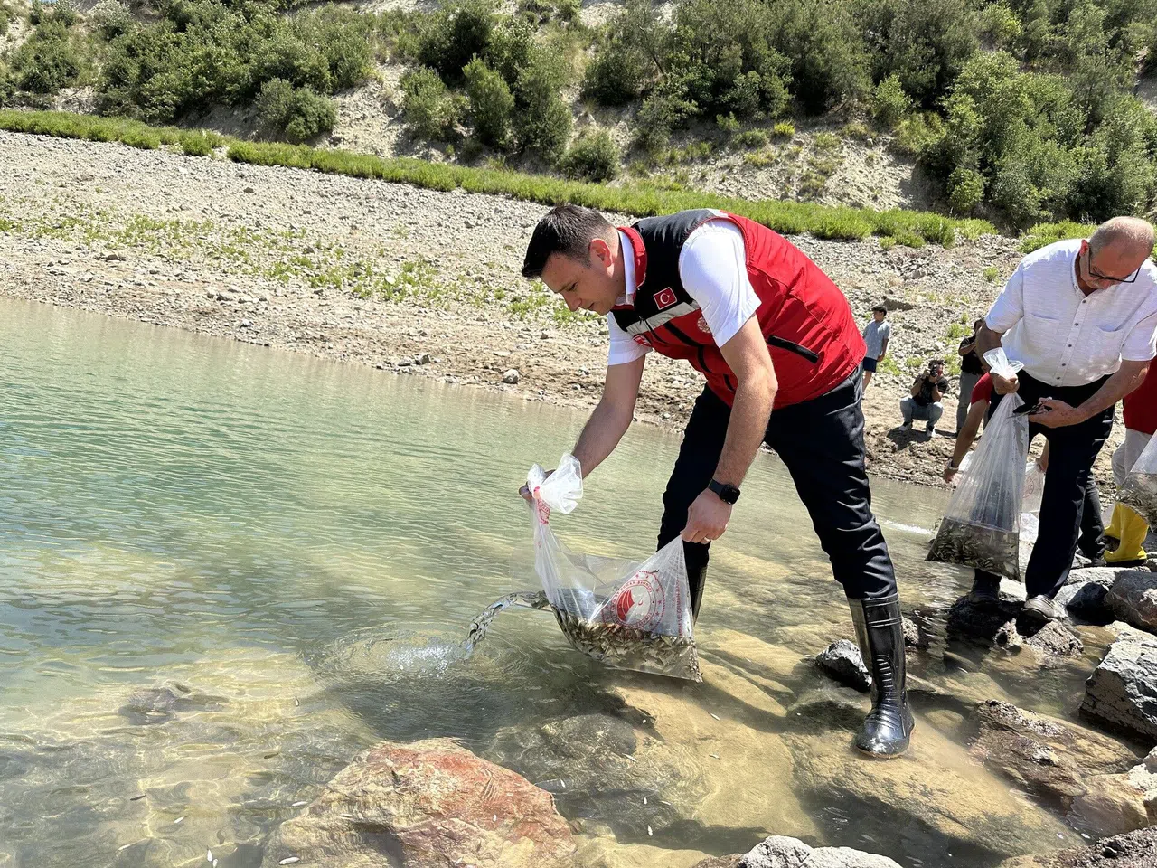 Karacaören Göleti'ne İlk Kez 10 Bin Pullu Sazan Yavrusu Bırakıldı