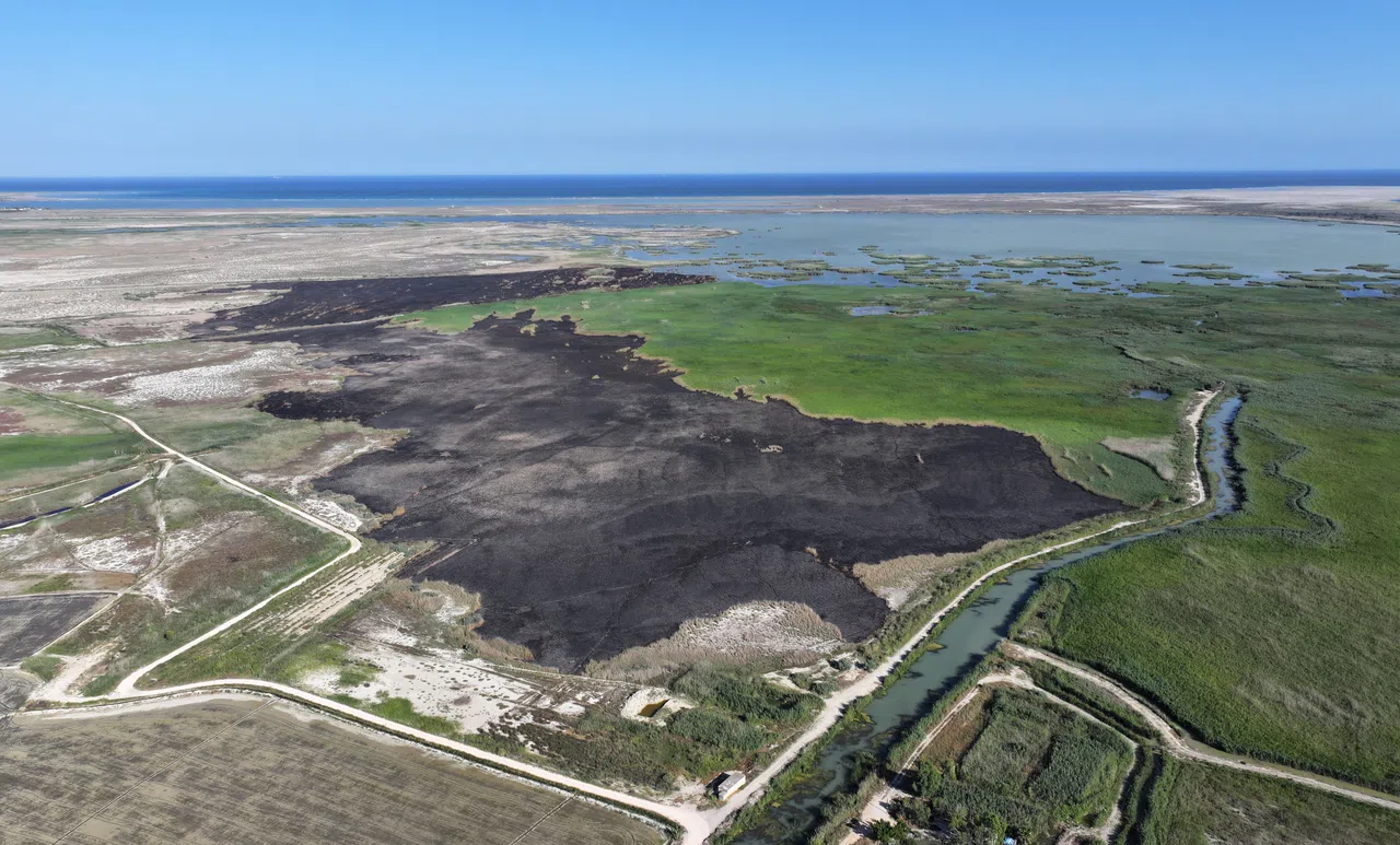Kuş Cenneti Göksu Deltası Yangın Sonrası Havadan Görüntülendi