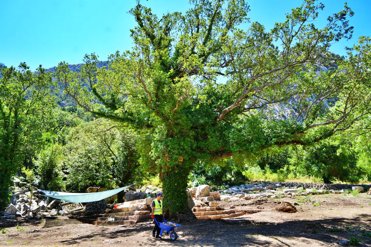 Meşe Ağacı Lahit Parçasını Havaya Kaldırdı