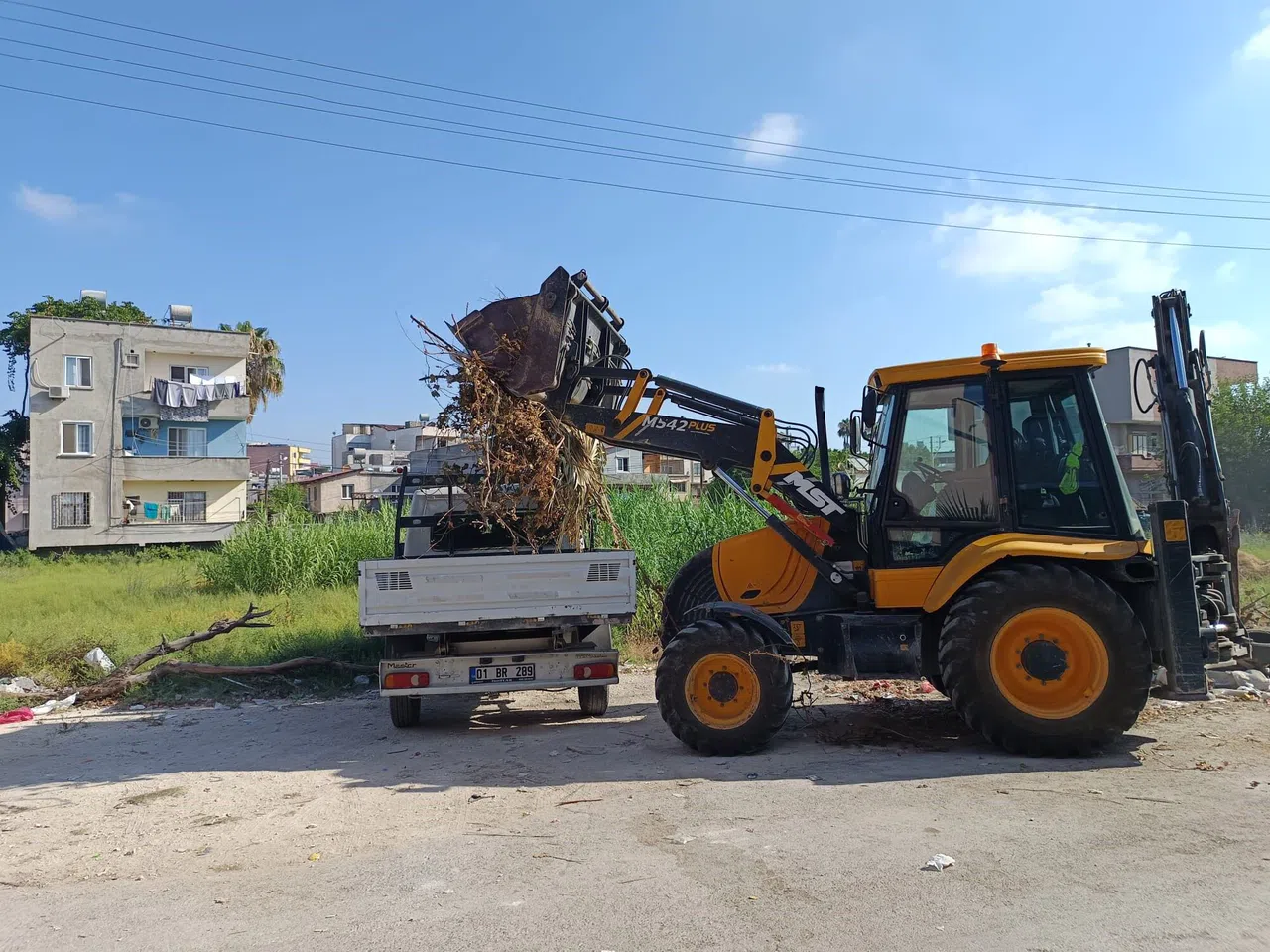 Moloz Ve Yabani Ot Temizliği