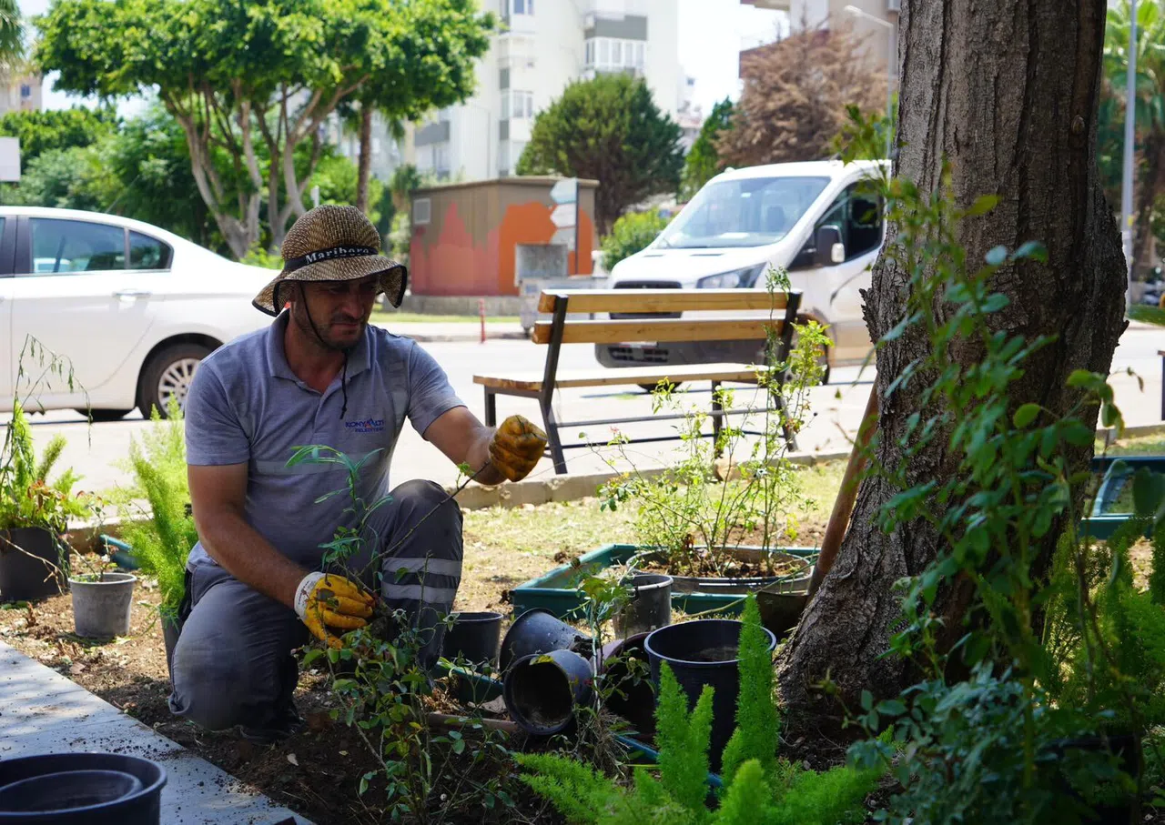 Muhtarlık Binaları Çiçeklendiriliyor