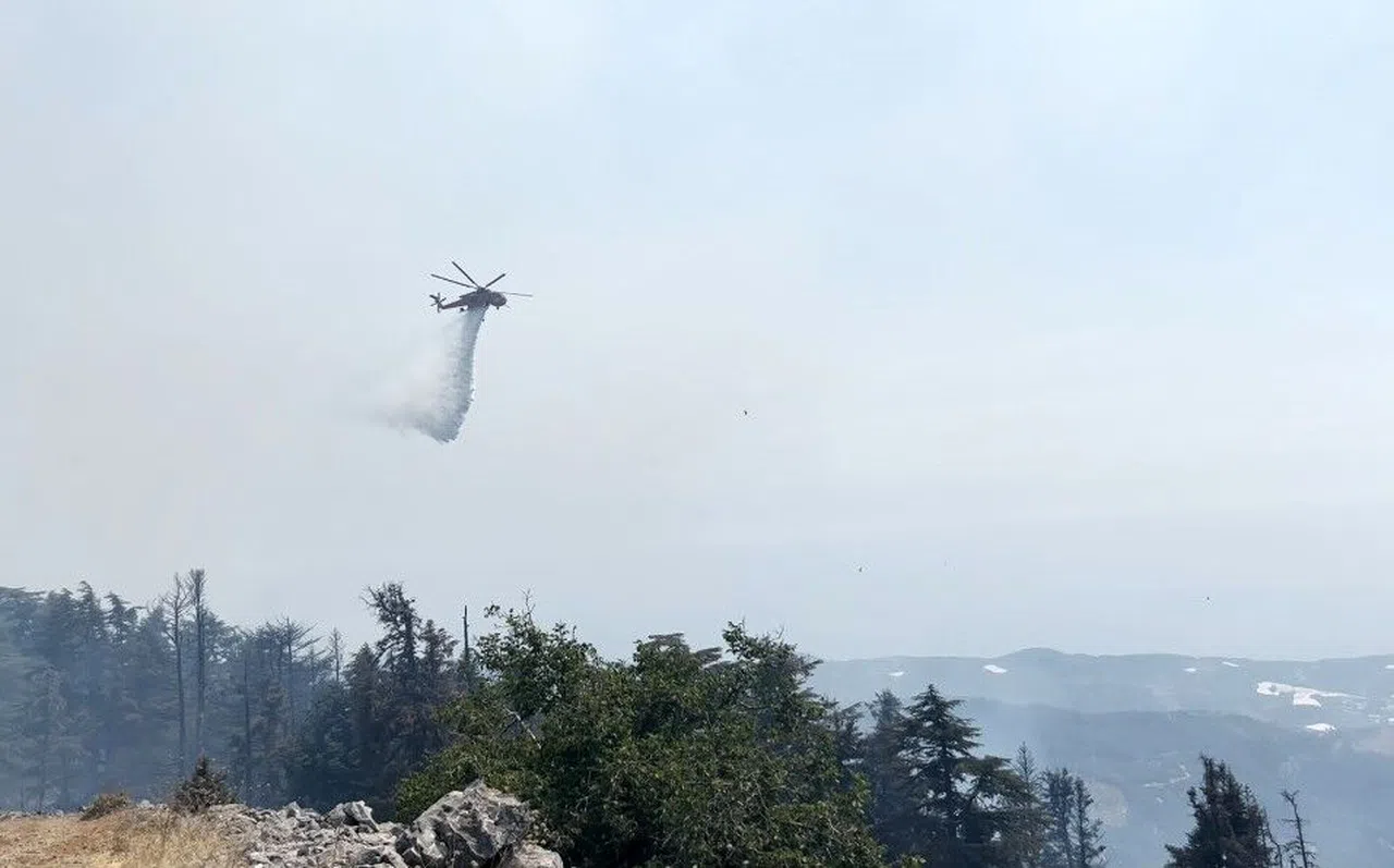 Orman Yangını 3. Gününde Kontrol Altına Alındı