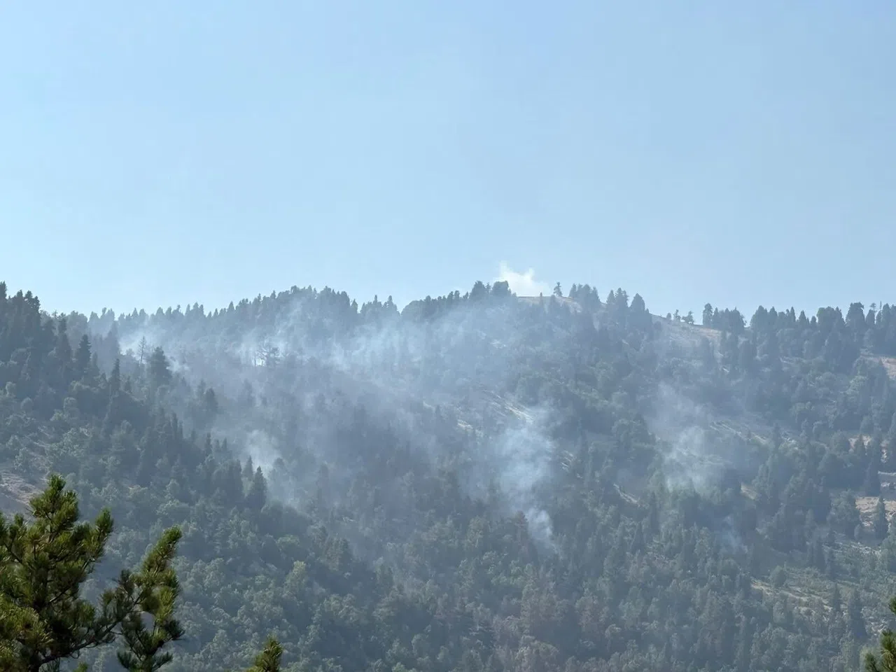 Orman Yangını Devam Ediyor