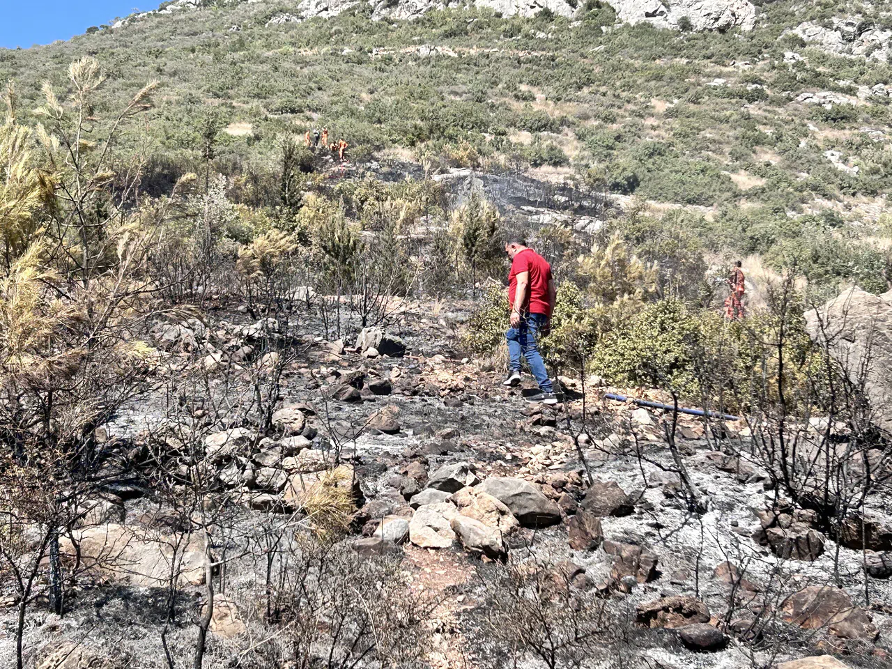 Orman Yangını Kısa Sürede Kontrol Altına Alındı