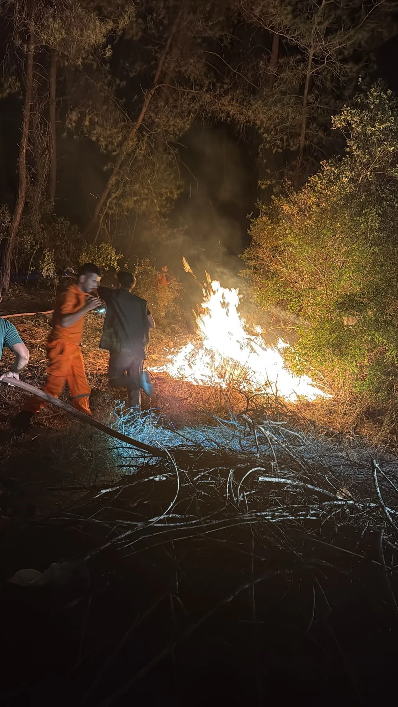 Orman Yangını Kısa Sürede Söndürüldü