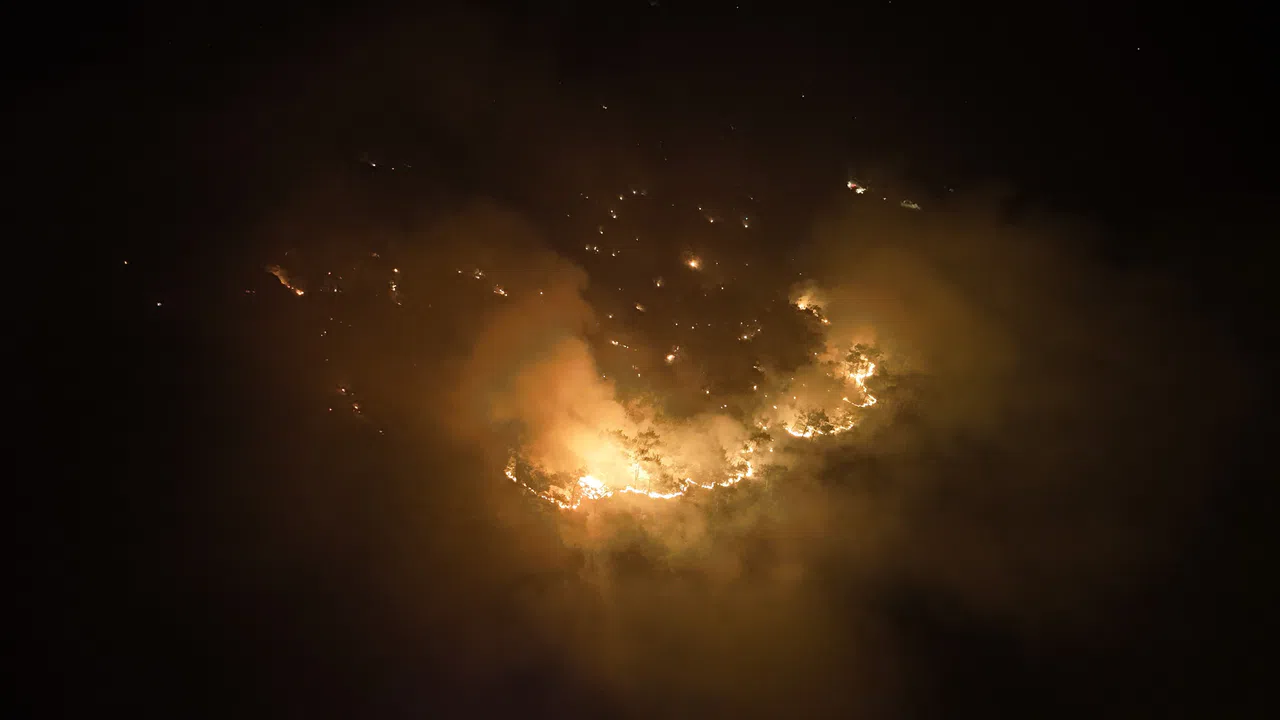 Orman Yangını Söndürüldü, Hasar Tespit Çalışmaları Başladı