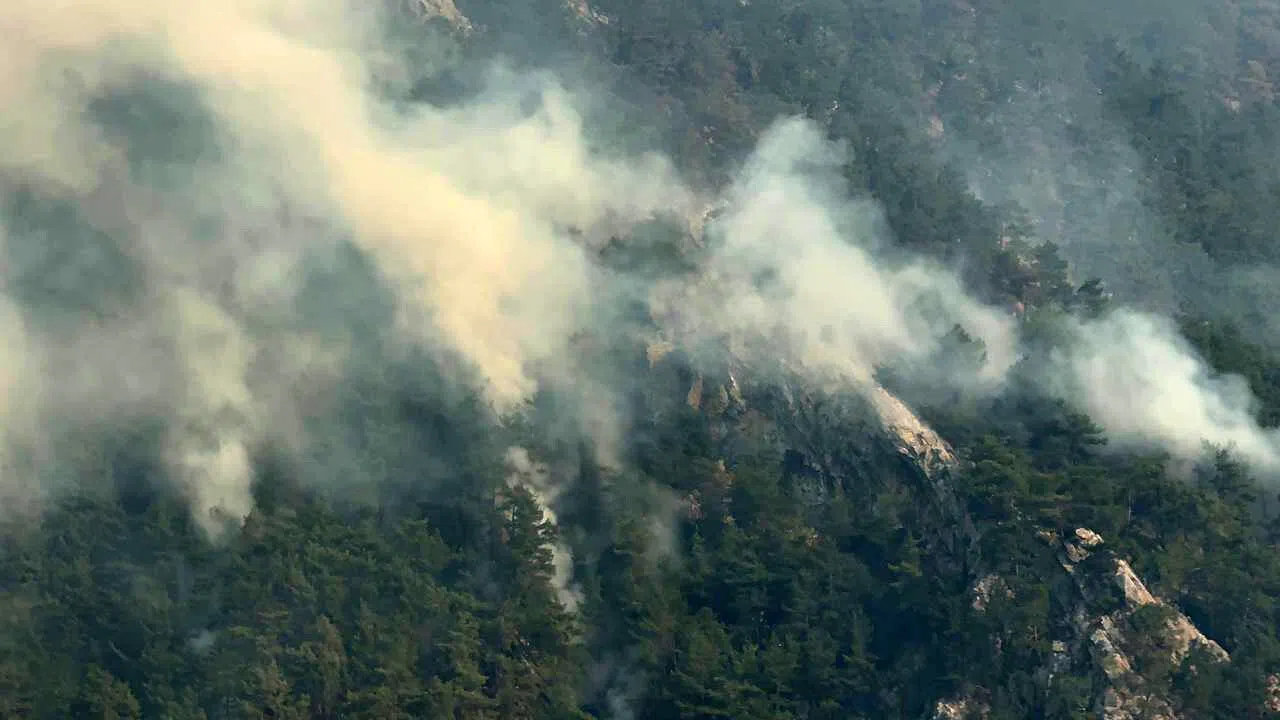 Orman Yangınlarına 3 Tutuklama