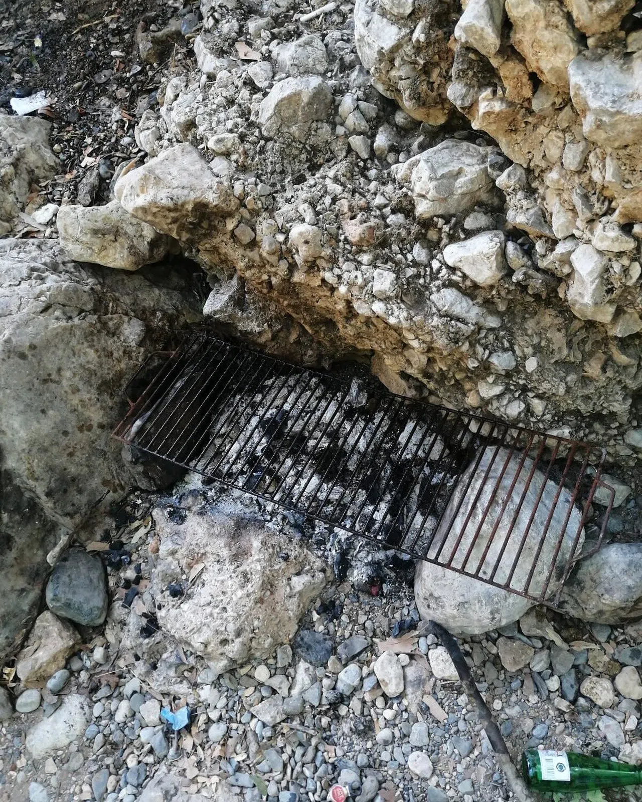 Ormanda Piknik Yapan 5 Kişiye Ceza