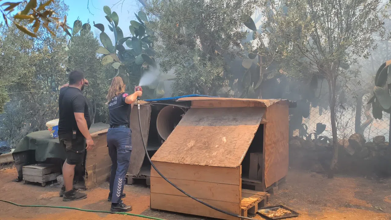 Otluk Ve Ağaçlık Yangını Evlere Birkaç Metre Kala Söndürüldü