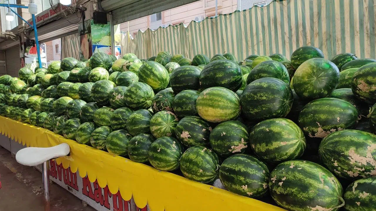 Kahramanmaraş’ta Karpuz Sezonu Başladı