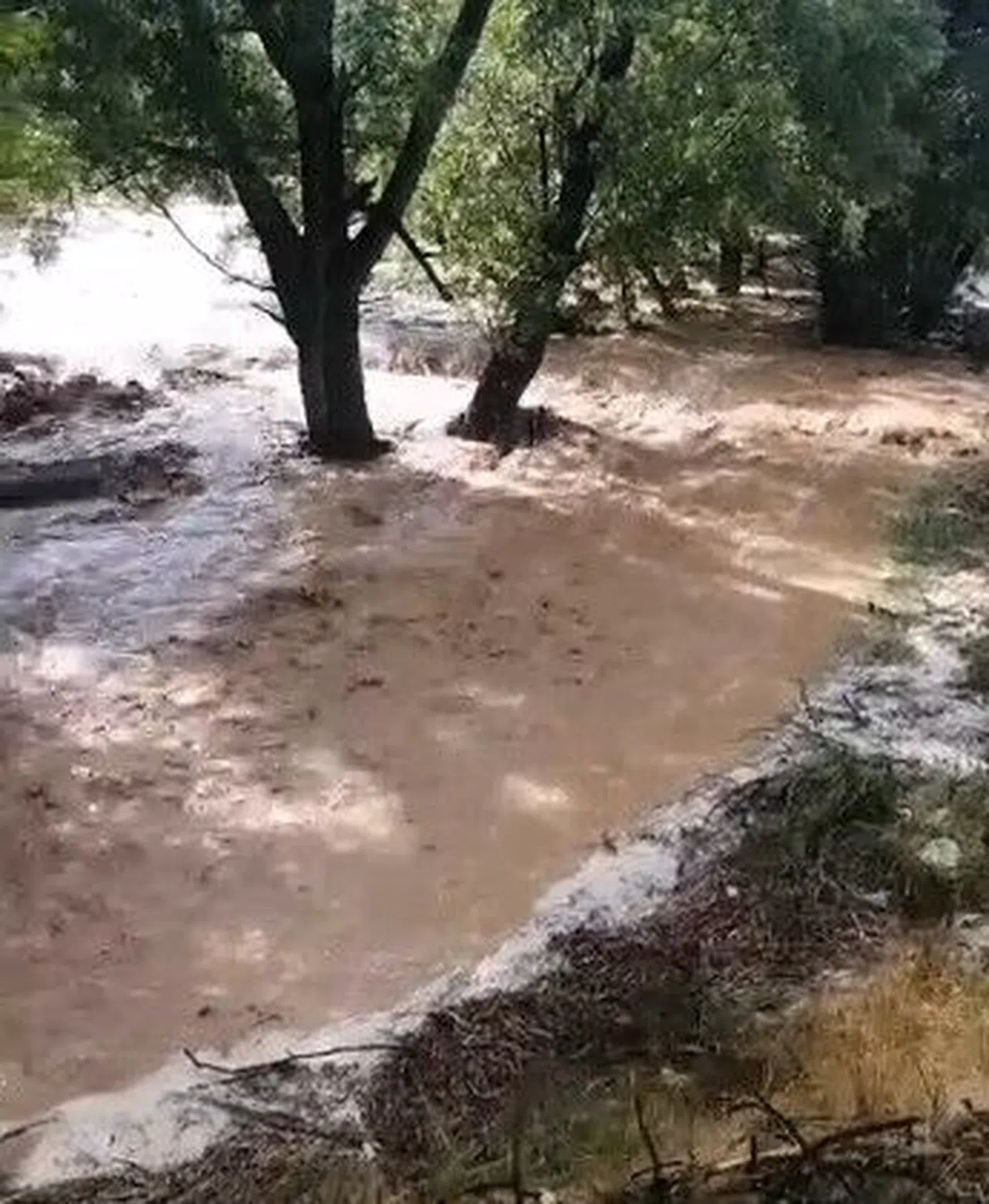 Sağanak Yağış Sele Neden Oldu