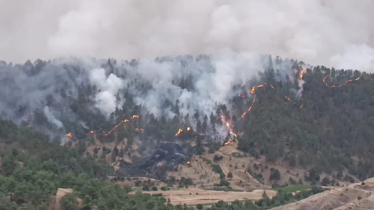 Kahramanmaraş’ta Ilıcada Orman Yangını: 3 Kişi Etkilendi