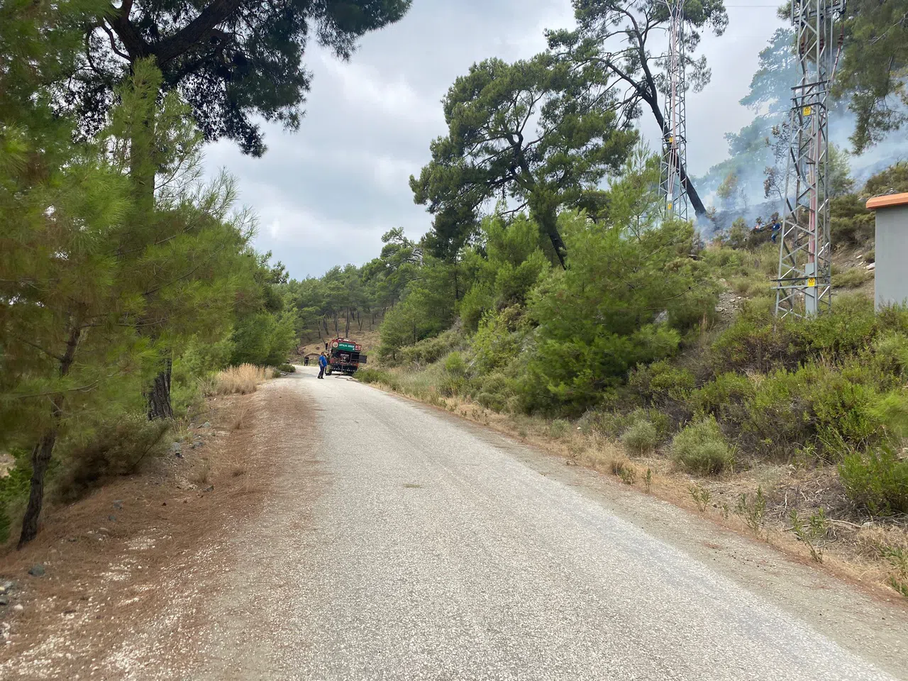 Orman Yangınında 1 Dekar Alan Yandı