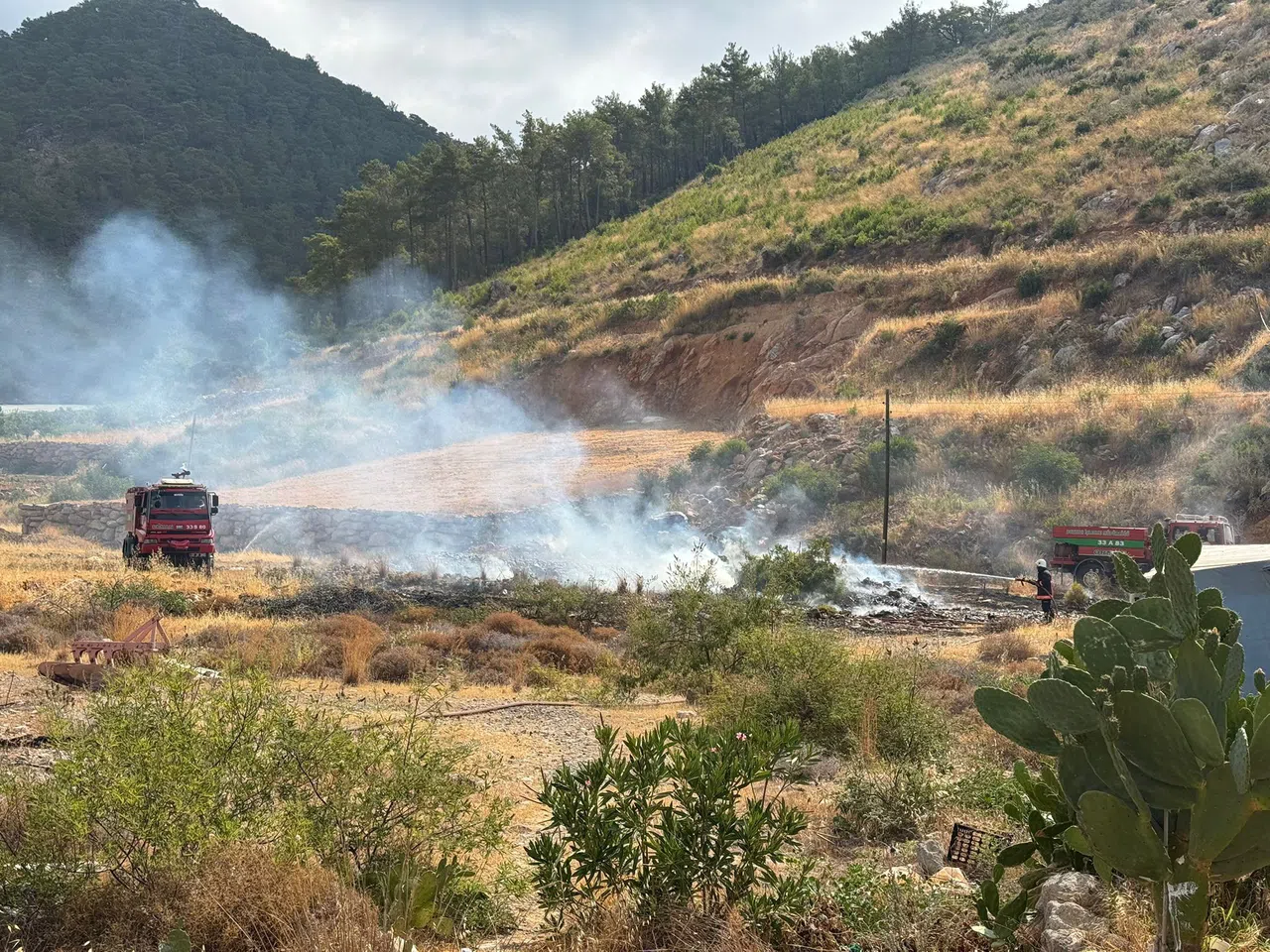 Yangın Ormana Sıçramadan Söndürüldü