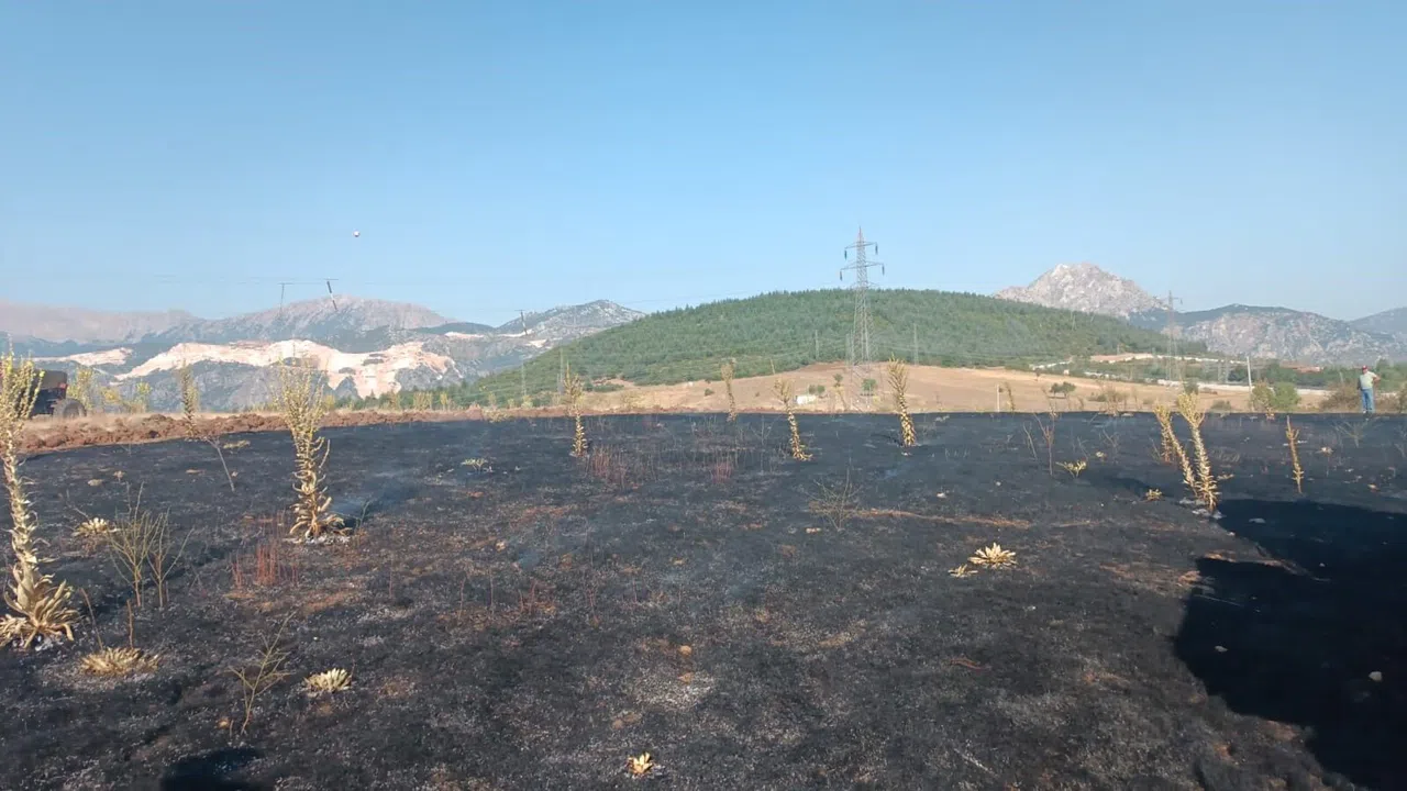 Yüksek Gerilim Hattına Çarpan Karga, 2 Dönüm Alanı Kül Etti