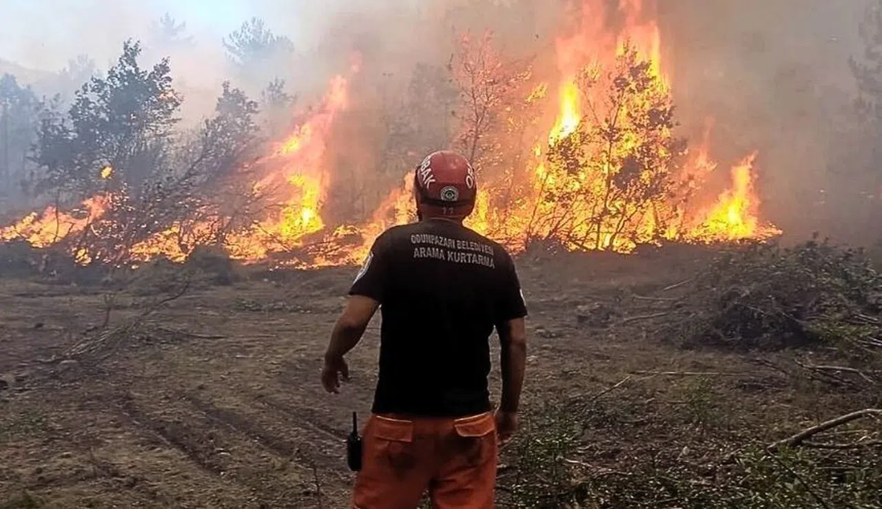 Orman Yangınlarında Son Durum Ne? Nerede Yangın Var, Çıkan Yangınlar Söndürüldü Mü?