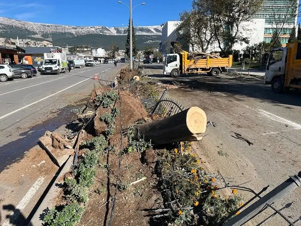 Kahramanmaraş’ta Etkili Olan Fırtına Refüjlerde Ağaç Bırakmadı