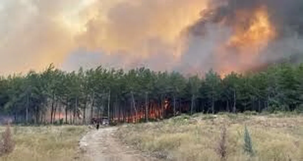 118 Orman Yangını Çıktı, 540 Hektar Alan Zarar Gördü