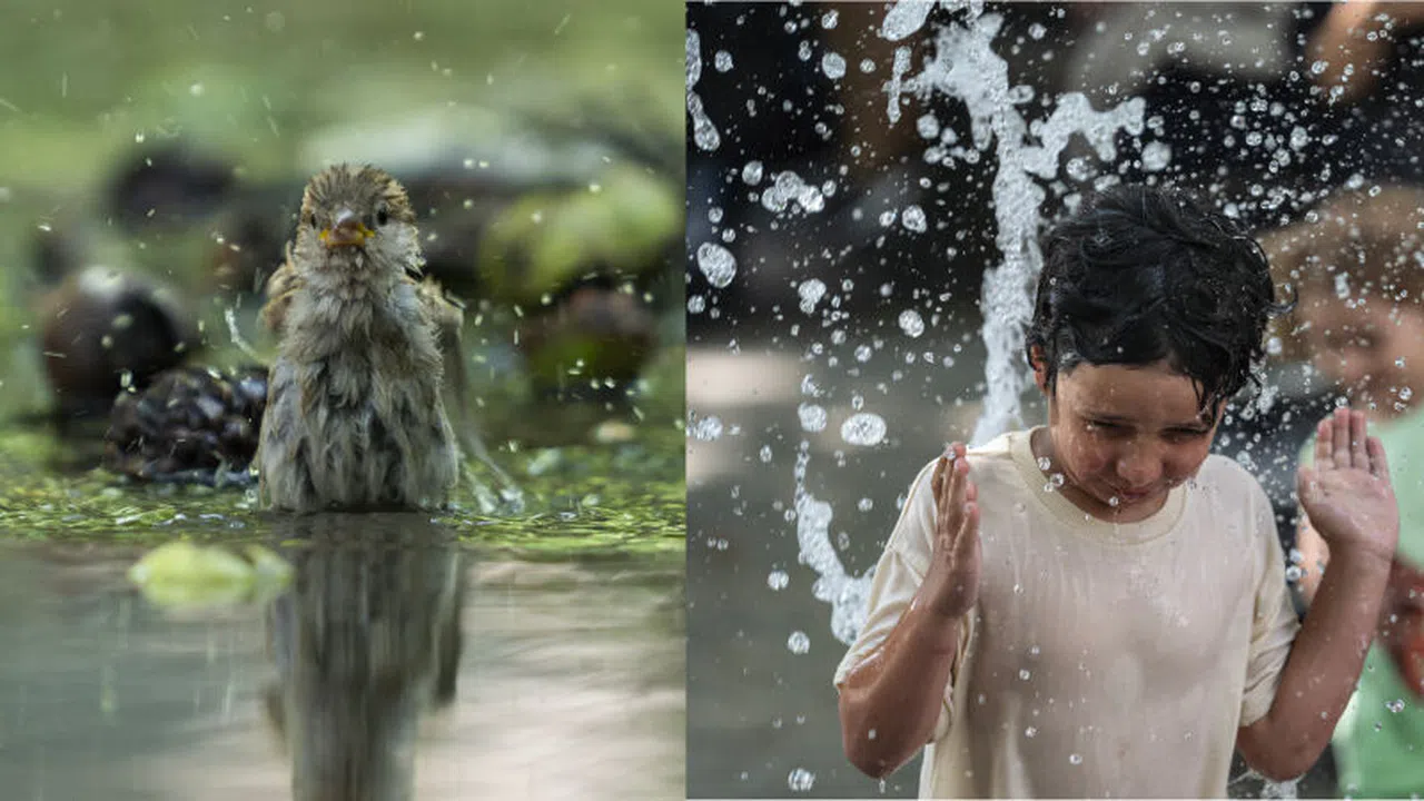 Kahramanmaraş’ta Hava Sıcaklığı 9 Derece Düştü