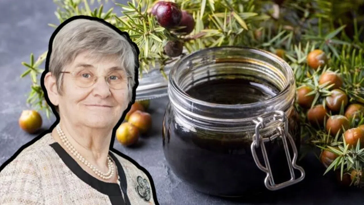 Canan Karatay’ın Bile Tavsiye Ettiği Şifa; Bertiz Üzüm Pekmezi
