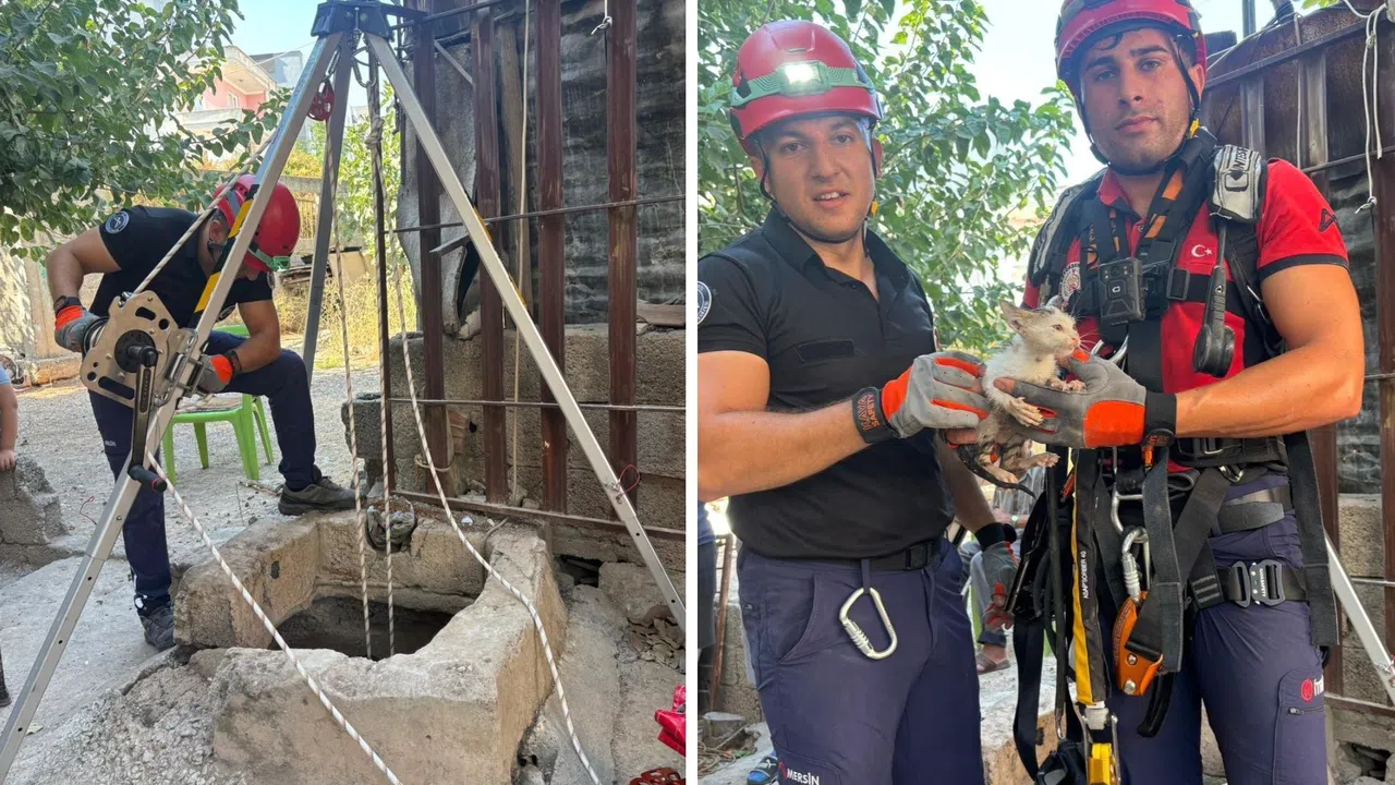 20 Metrelik Kuyudan Düşen Yavru Kedi Kurtarıldı