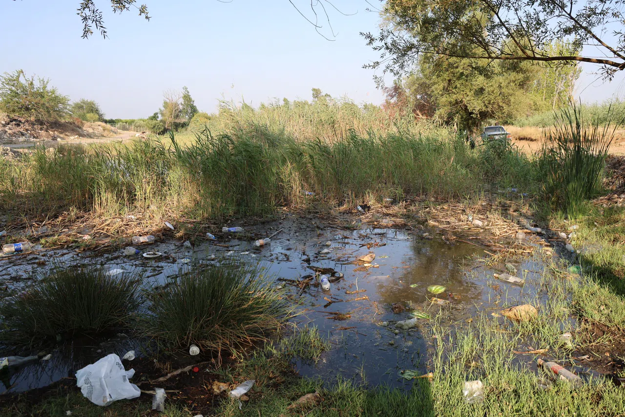 Göletler Çöple Doldu, Muhtar İsyan Etti