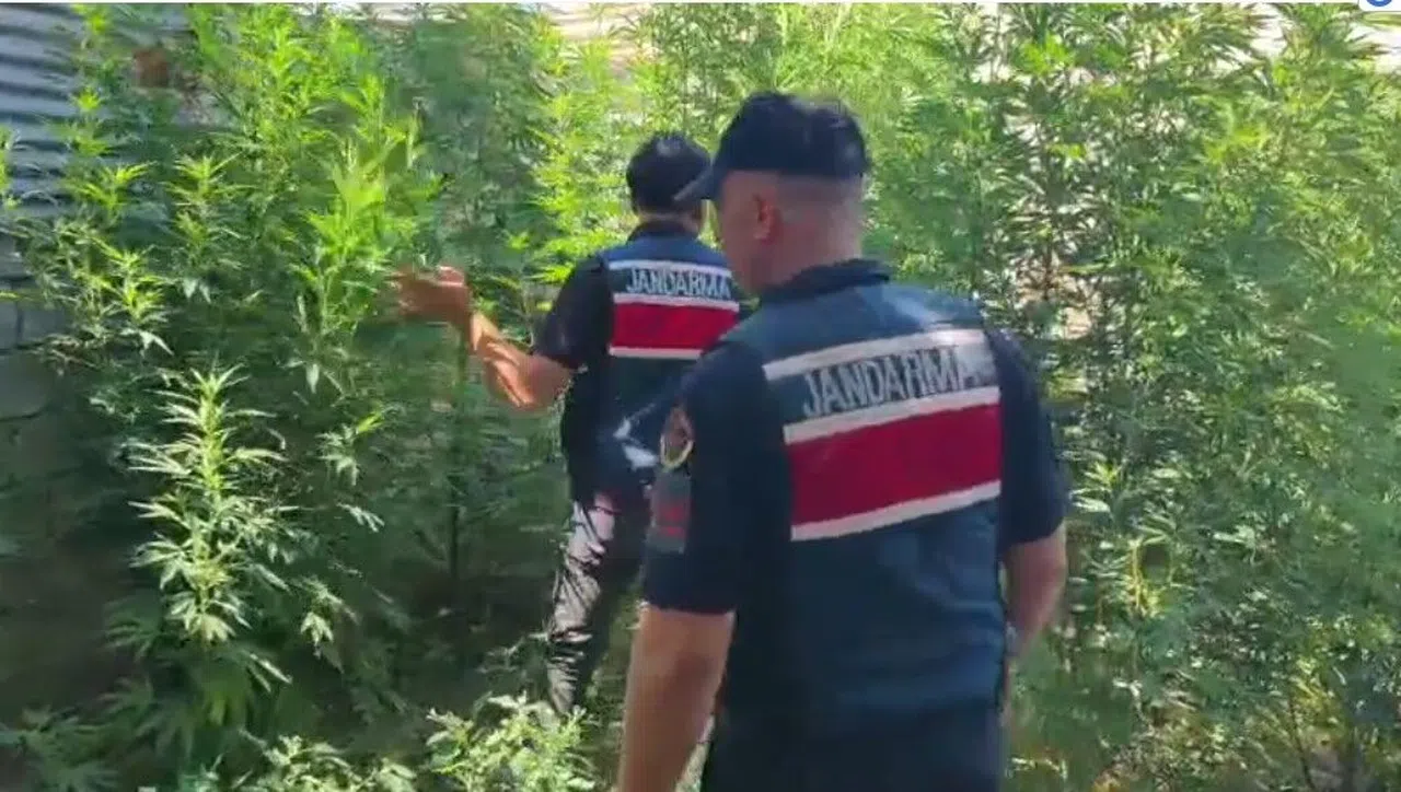 Uyuşturucu Operasyonu: 8 Gözaltı