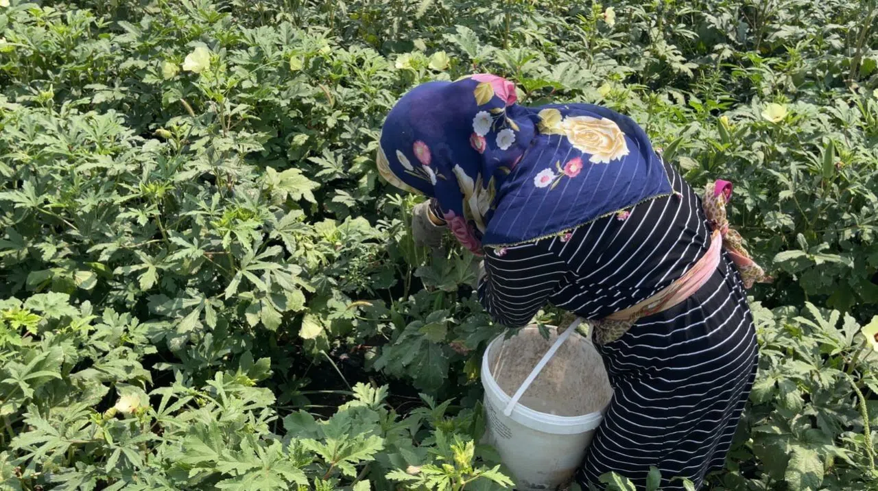 Doğa Ve Hayvan Sevgisi Aynı Toprakta Filizleniyor