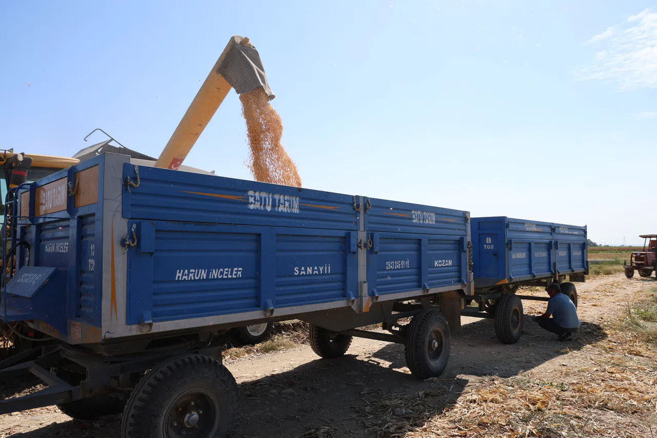 Aşırı Sıcaklarda Üreticilerin Zorlu Mesaisi