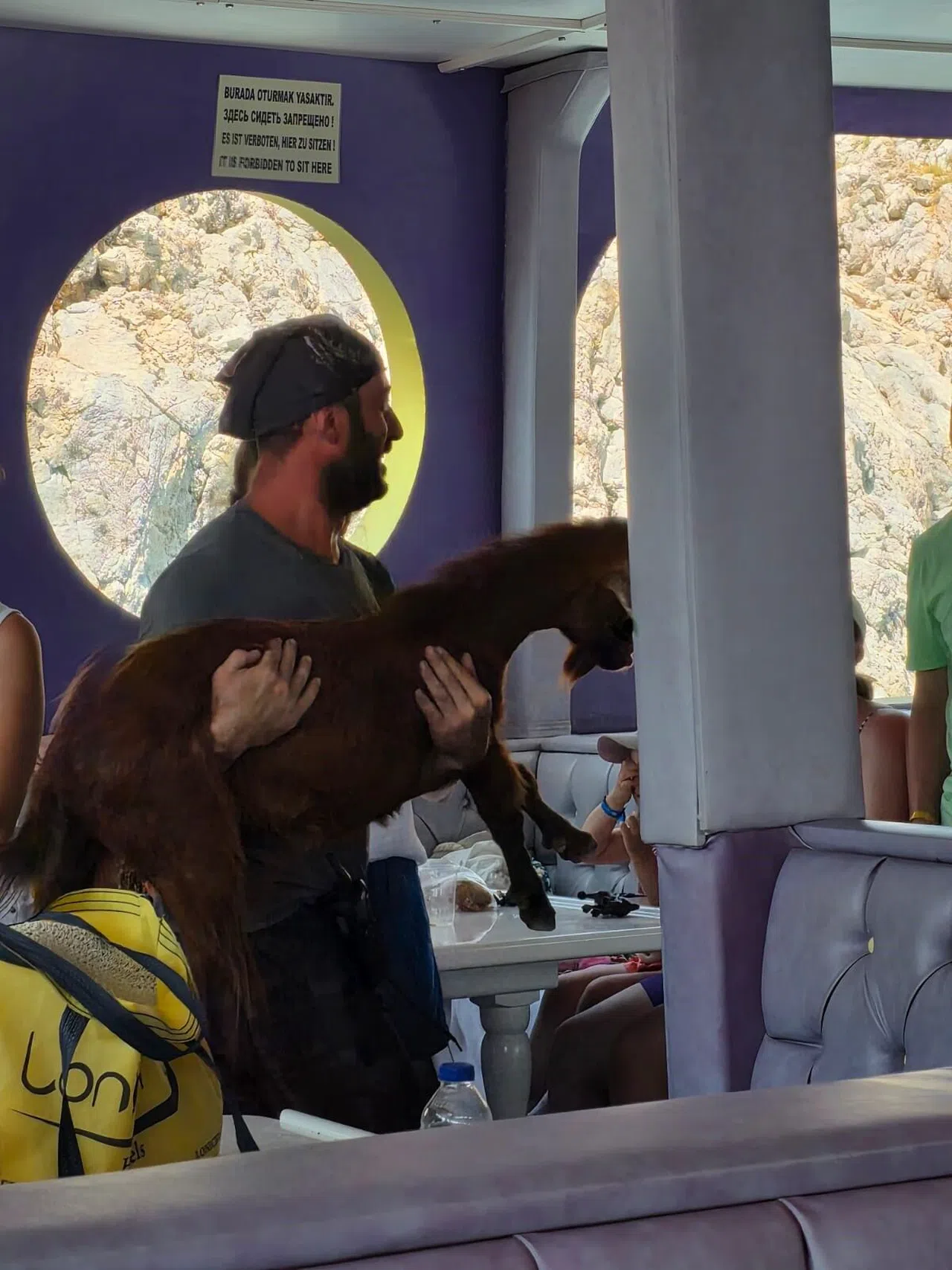 3 Gündür Mahsur Kalan Dağ Keçisini Tur Teknecileri Kurtardı