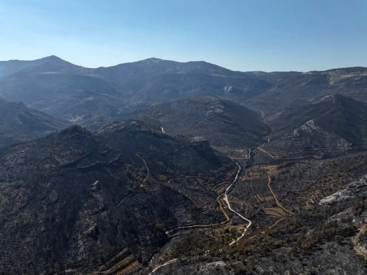Orman Yangınından Geriye Kalan Acı Manzara