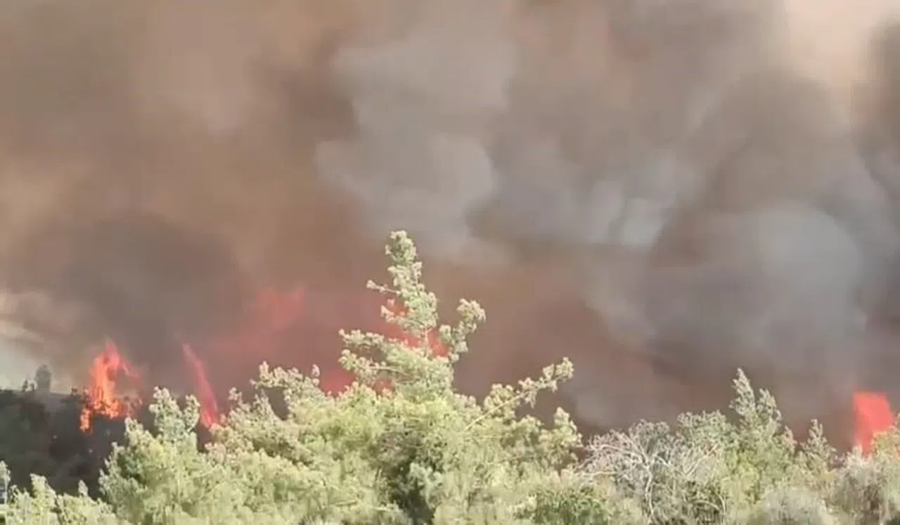Adana'da Orman Yangını