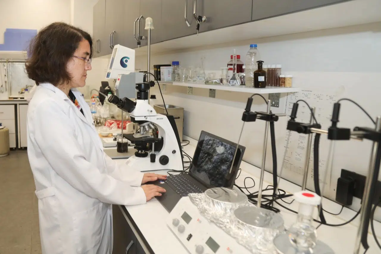 Akademisyenlerden Isı Kalkanı Görevli Biyomalzeme Projesi