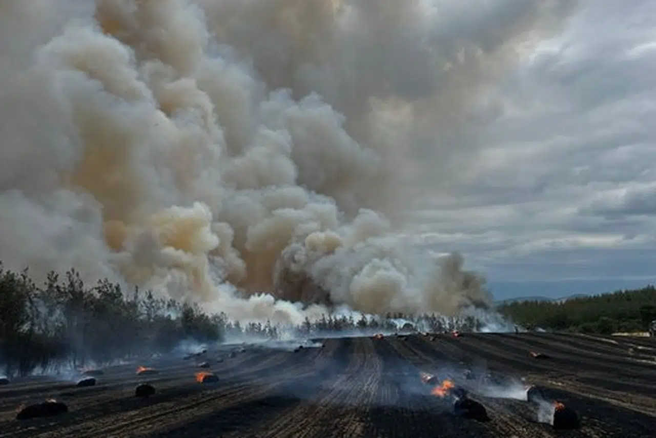 Anız ve orman yangını