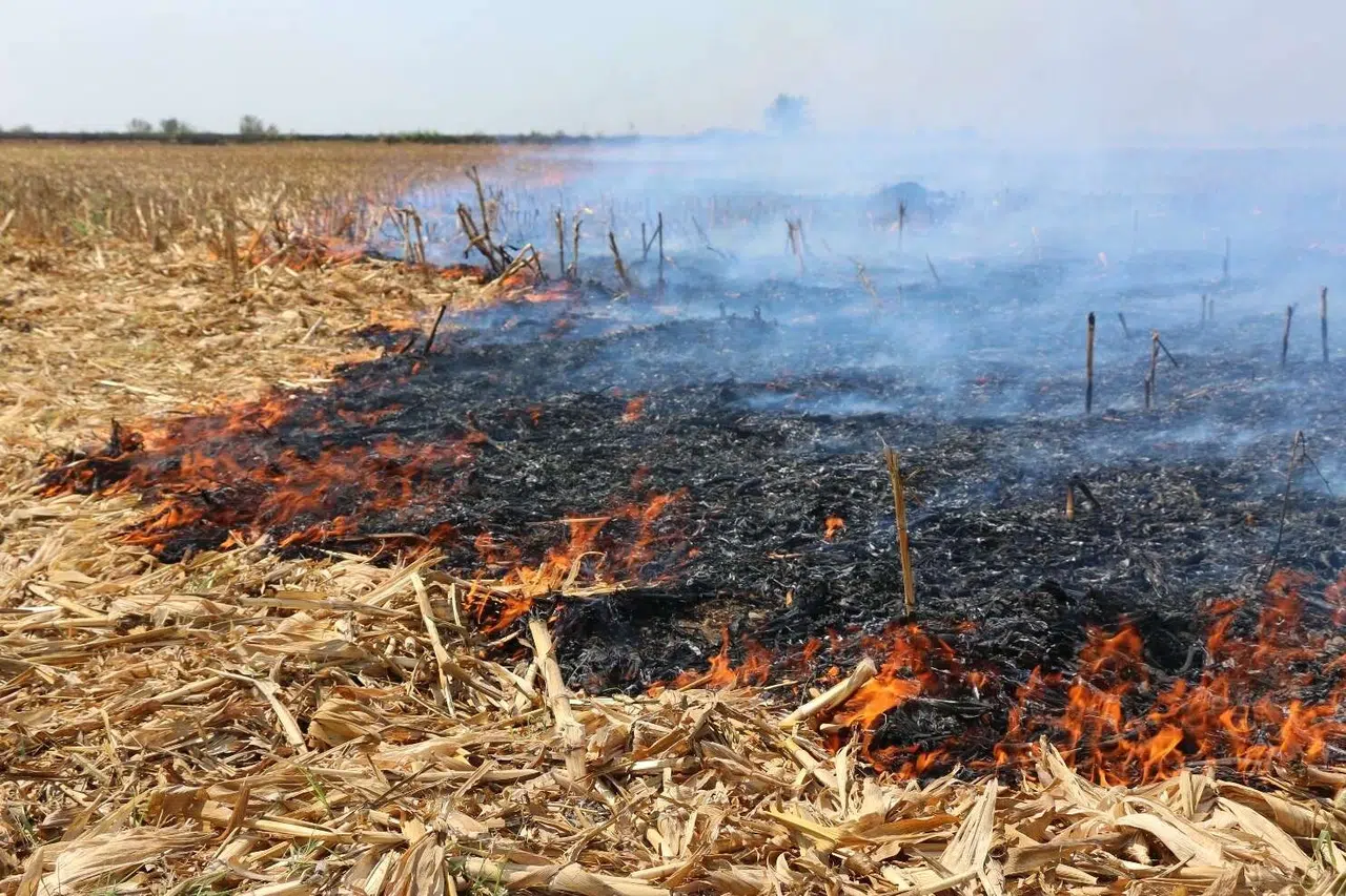 İpsala'da 5 kişiye 'anız yakma' cezası!