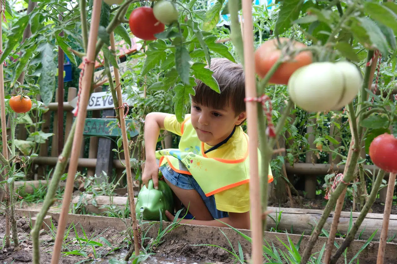 Lokomotif Çocuk Köyü'nde hasat sevinci