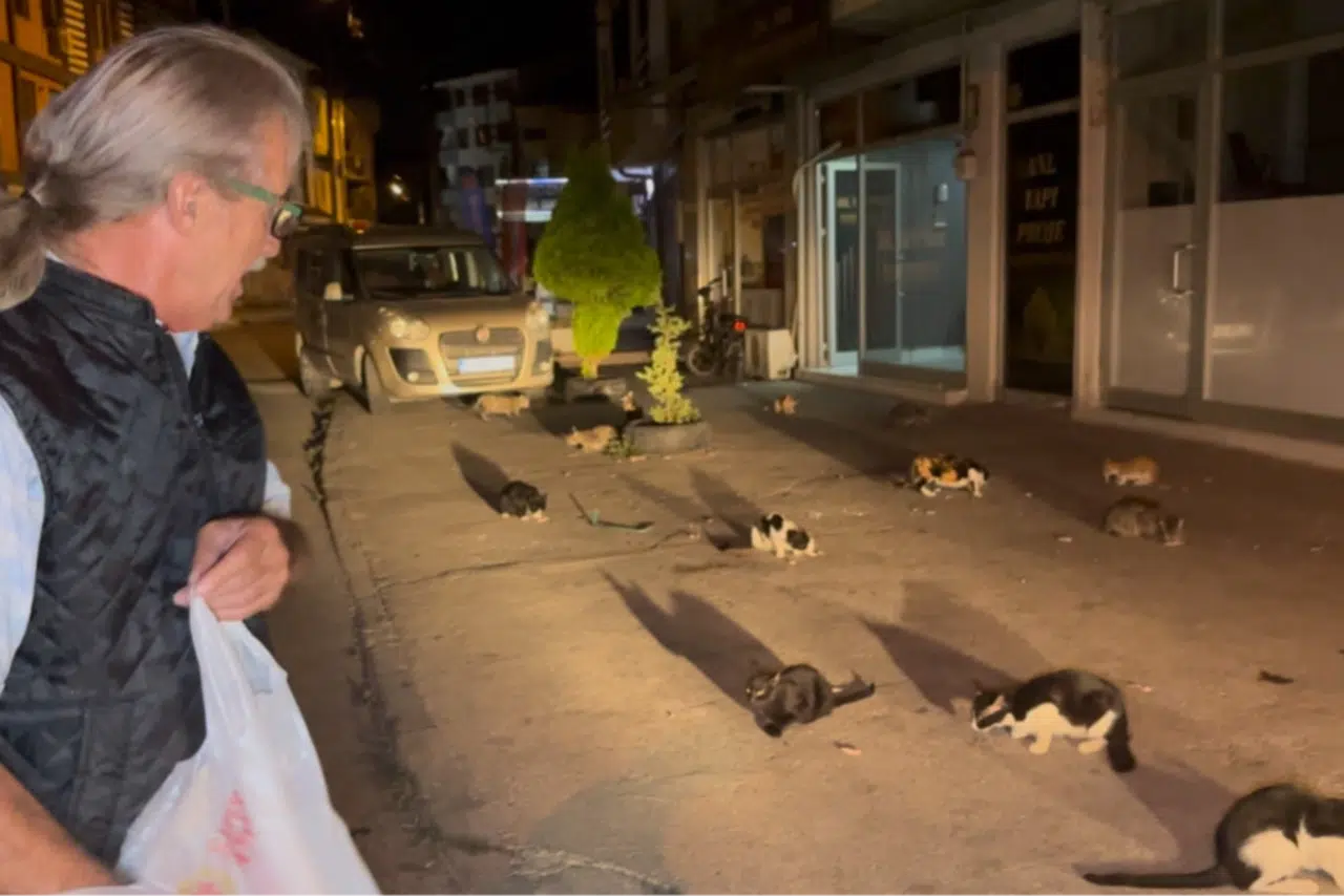 Mahallesinde Sokak Kedilerini Yıllardır Besleyen Veysel Kaya