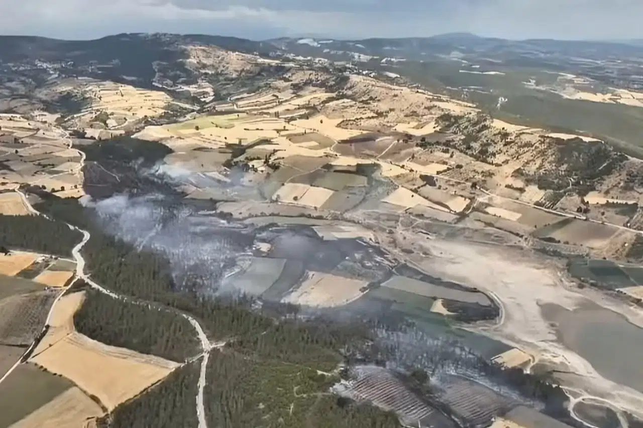 Orman yangını kontrol altında