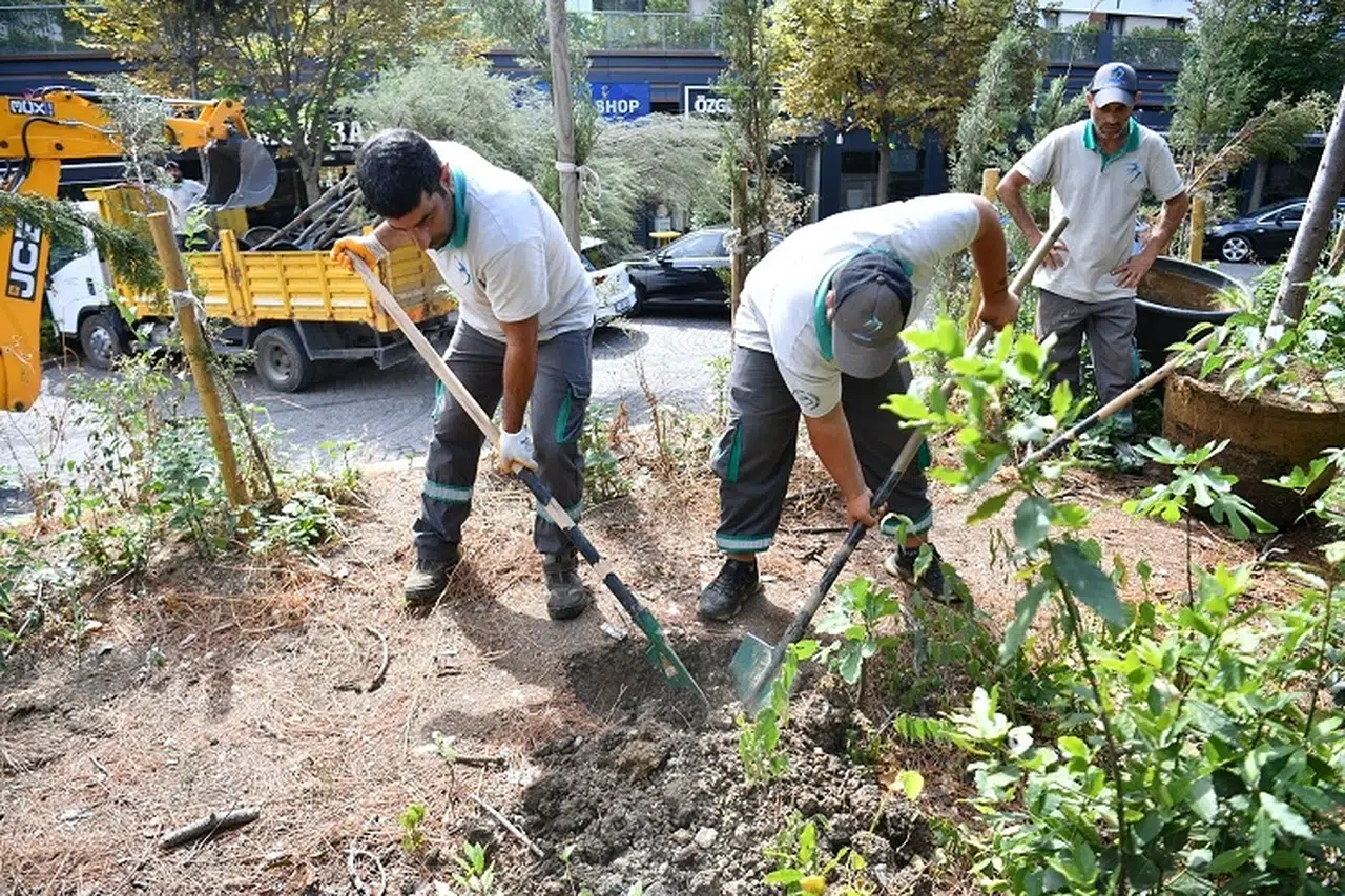 Park ve Yeşil Alanlarda Bakım ve Onarım Çalışmaları Sürüyor