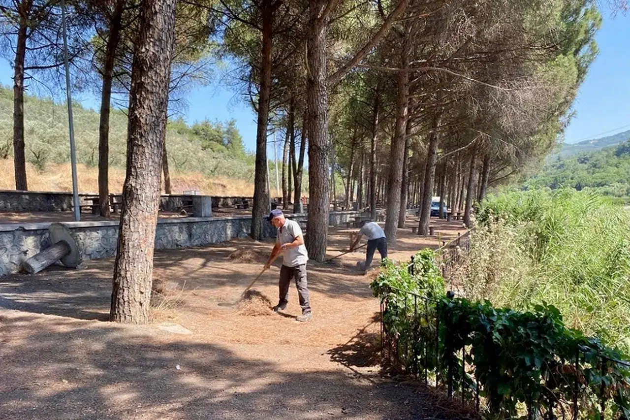 Piknik Alanı'nda kapsamlı temizlik