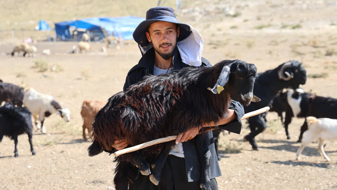 Kahramanmaraş'ta Konargöçerler Ahır Dağı Zirvesindeki Yerlerini Aldı