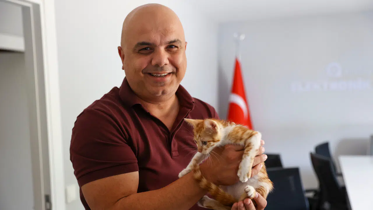 Çaya Düşen Yavru Kediyi Ekipler Kurtardı